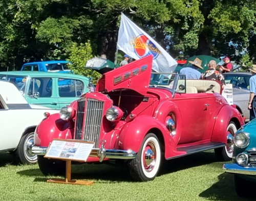 1937 Packard - Bill Beverly
